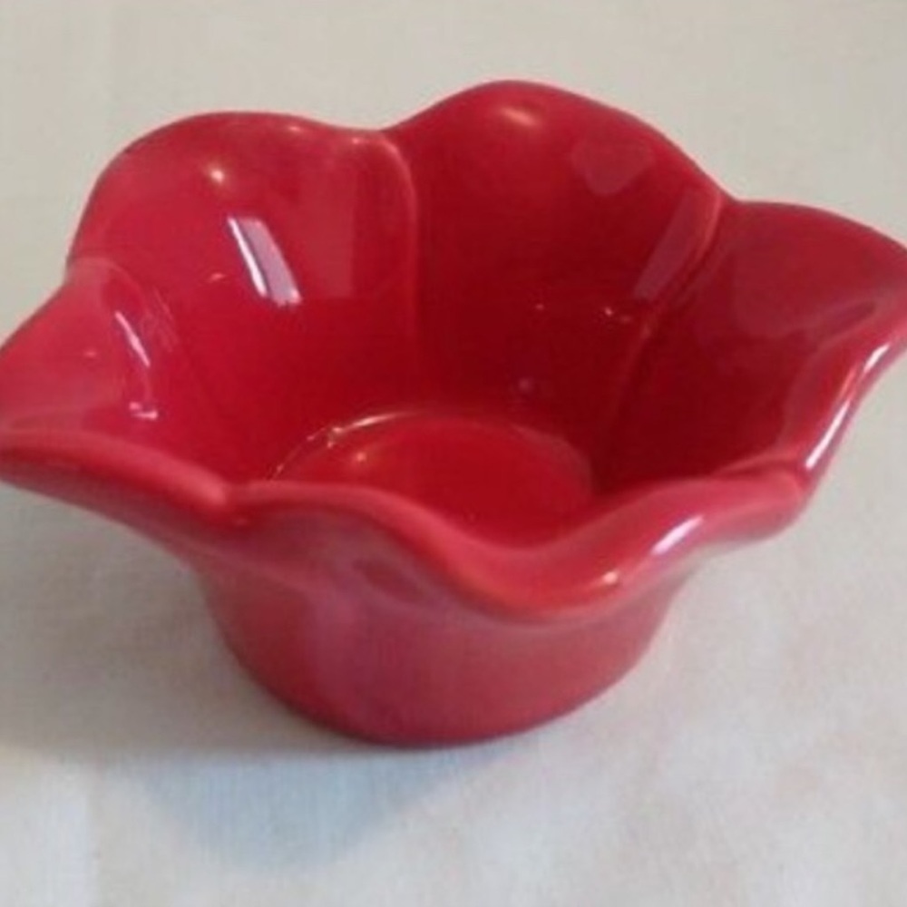 NWT Southern Living at Home ~ Petals of Light in red